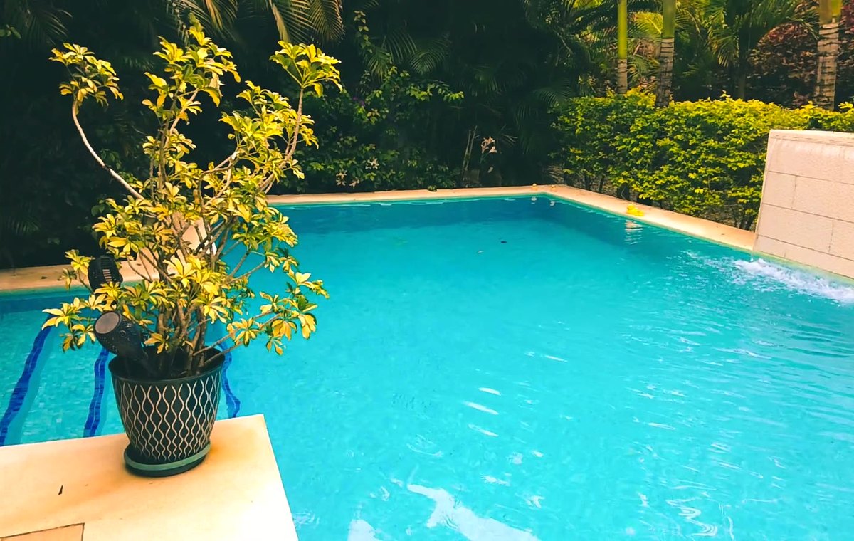 Time 2 Swim
